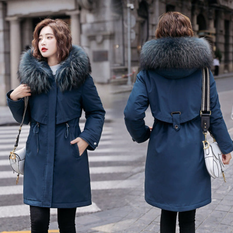 New Down And Cotton Jacket For Women In Winter